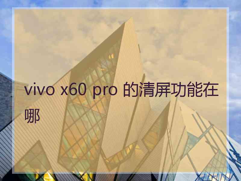 vivo x60 pro 的清屏功能在哪