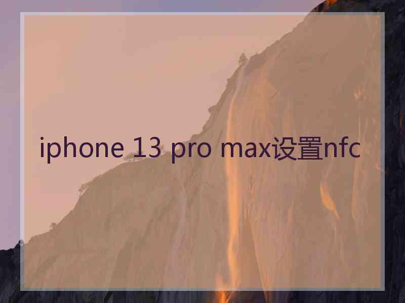 iphone 13 pro max设置nfc