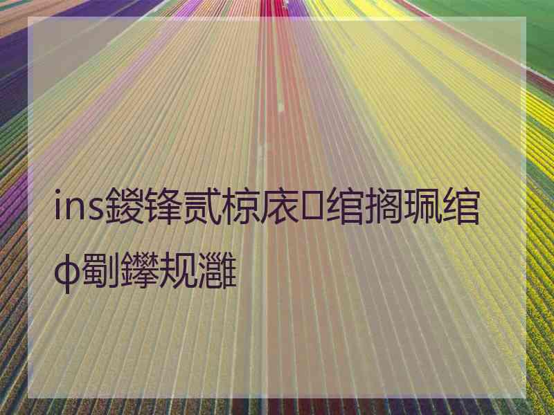 ins鍐锋贰椋庡绾搁珮绾ф劅鑻规灉