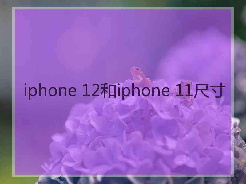 iphone 12和iphone 11尺寸