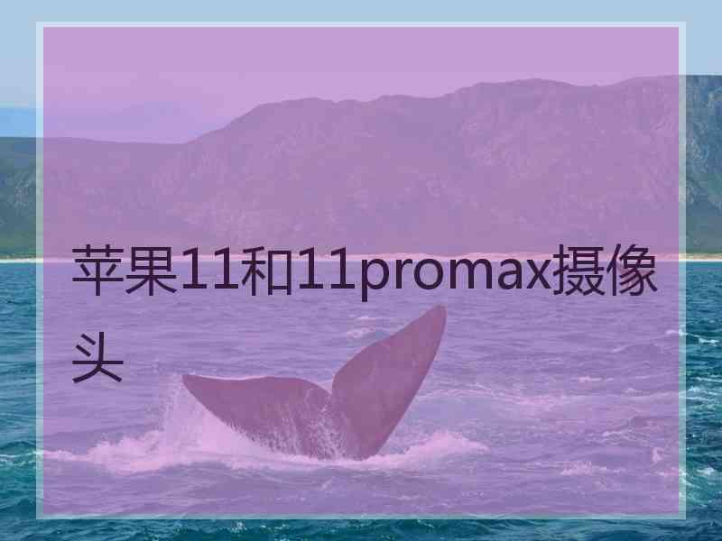 苹果11和11promax摄像头