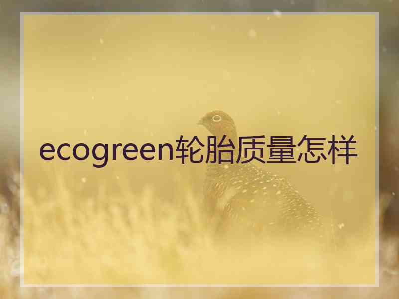 ecogreen轮胎质量怎样