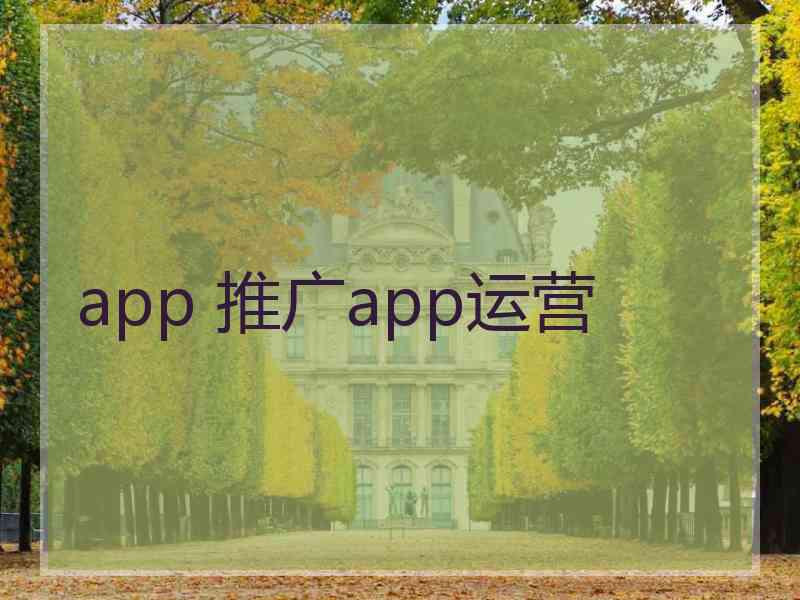 app 推广app运营