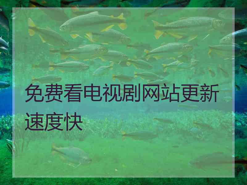 免费看电视剧网站更新速度快