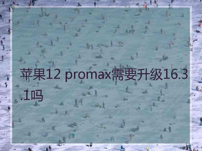 苹果12 promax需要升级16.3.1吗