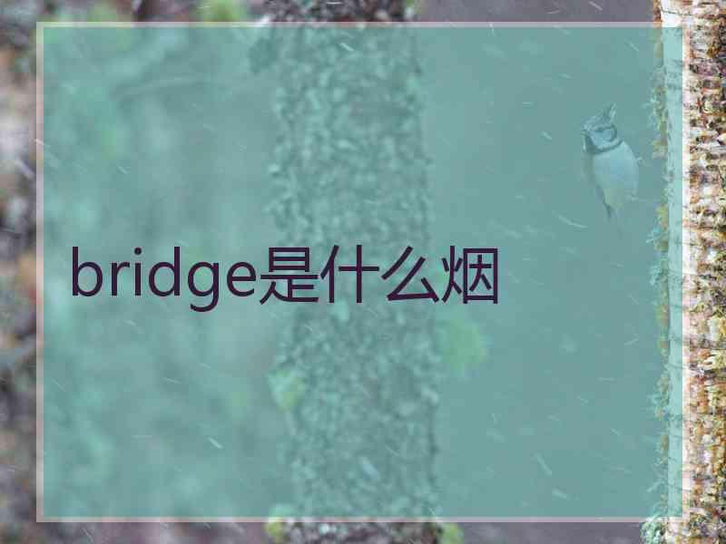 bridge是什么烟