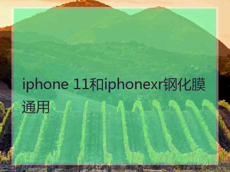 iphone 11和iphonexr钢化膜通用