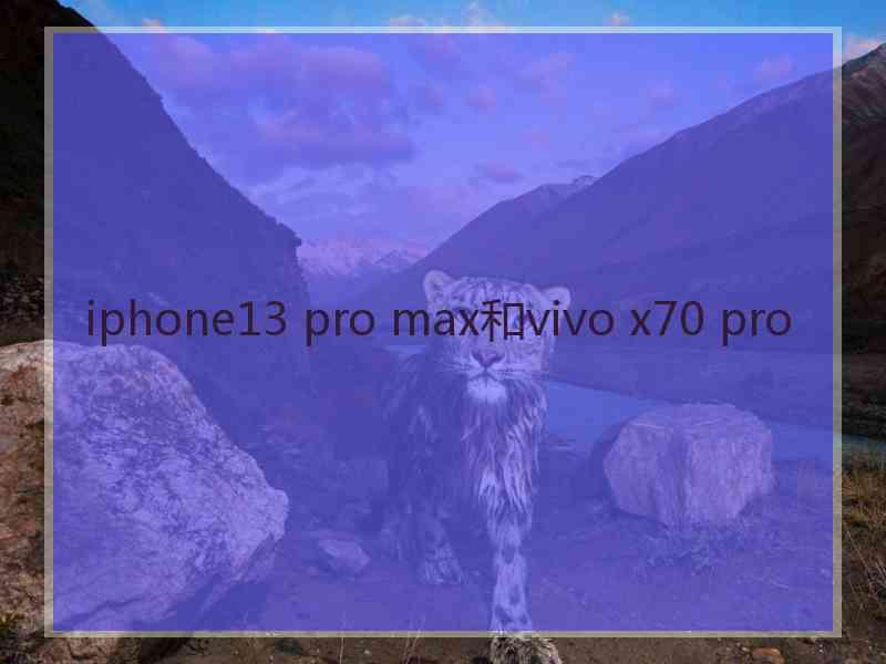 iphone13 pro max和vivo x70 pro