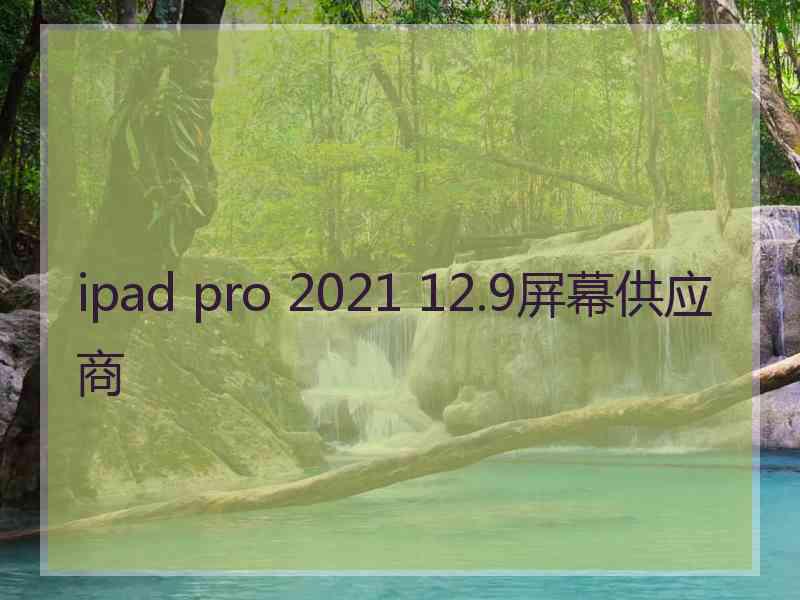 ipad pro 2021 12.9屏幕供应商