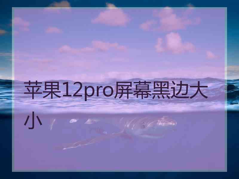 苹果12pro屏幕黑边大小