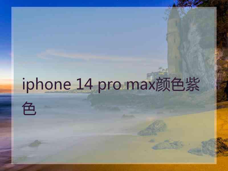 iphone 14 pro max颜色紫色