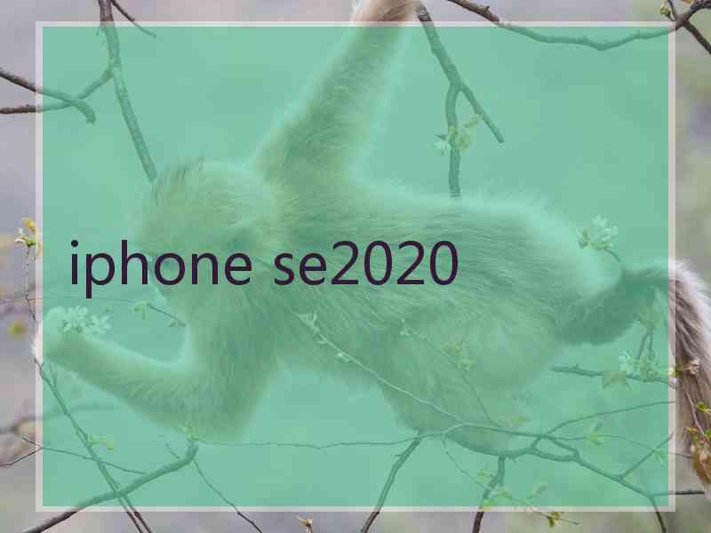 iphone se2020