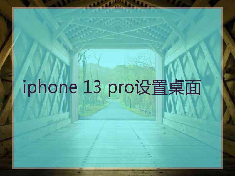 iphone 13 pro设置桌面