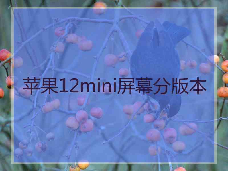 苹果12mini屏幕分版本