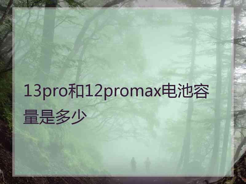 13pro和12promax电池容量是多少