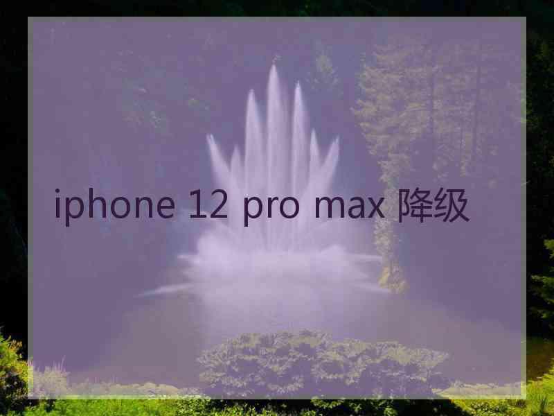 iphone 12 pro max 降级