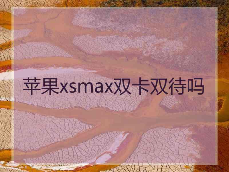 苹果xsmax双卡双待吗