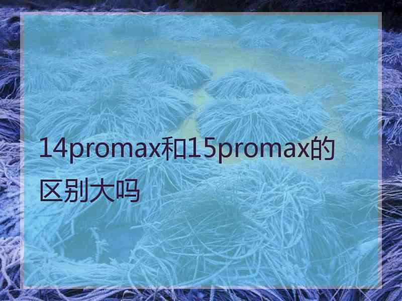 14promax和15promax的区别大吗