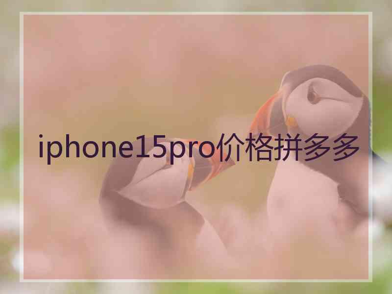 iphone15pro价格拼多多