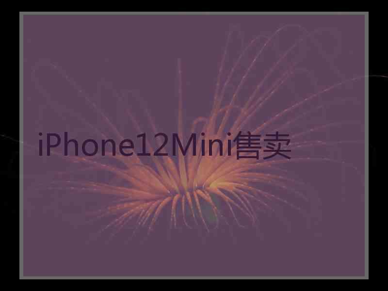 iPhone12Mini售卖