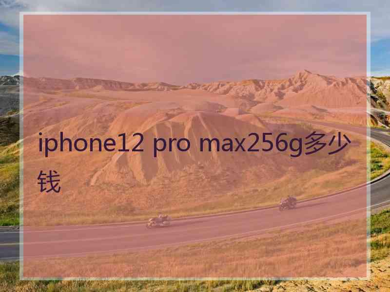 iphone12 pro max256g多少钱