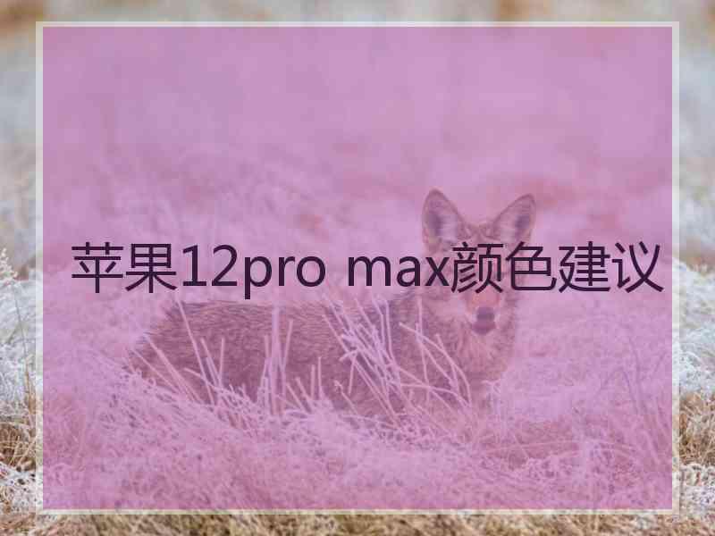 苹果12pro max颜色建议