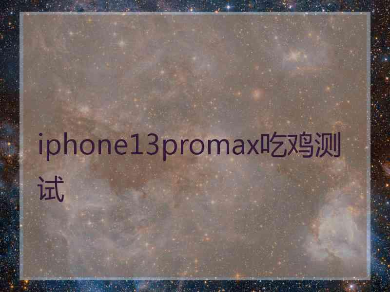 iphone13promax吃鸡测试