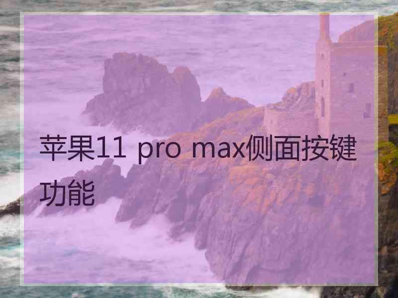 苹果11 pro max侧面按键功能