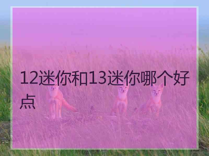 12迷你和13迷你哪个好点