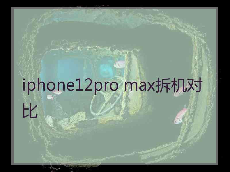 iphone12pro max拆机对比