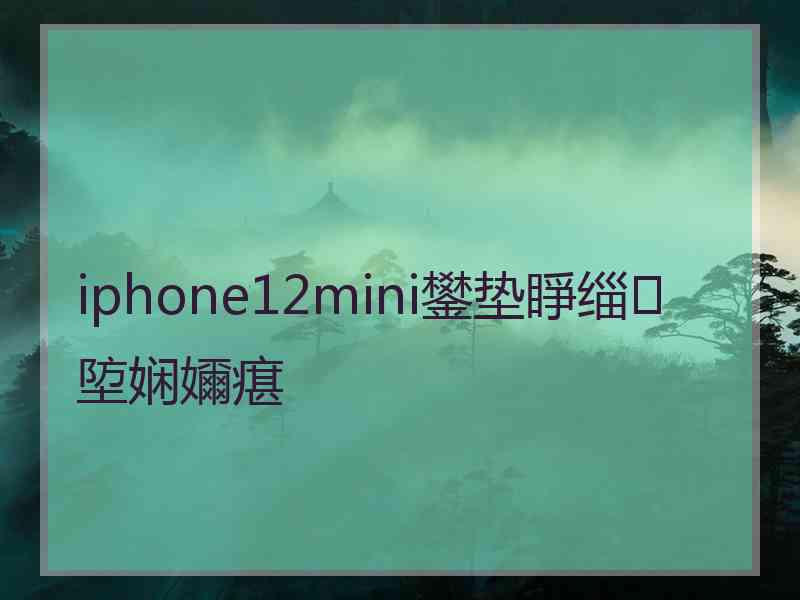 iphone12mini鐢垫睜缁埅娴嬭瘎