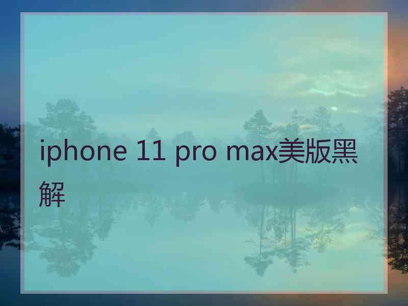 iphone 11 pro max美版黑解