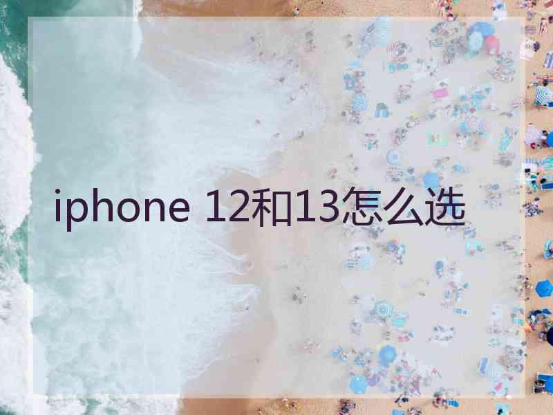 iphone 12和13怎么选