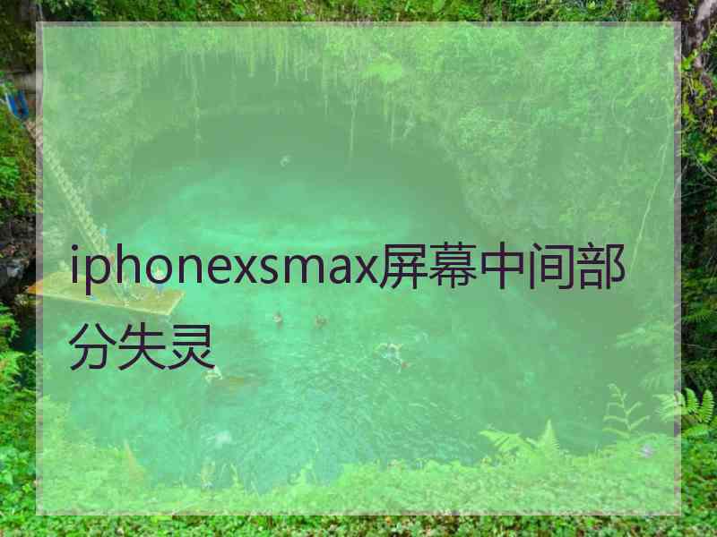 iphonexsmax屏幕中间部分失灵