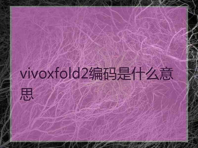 vivoxfold2编码是什么意思