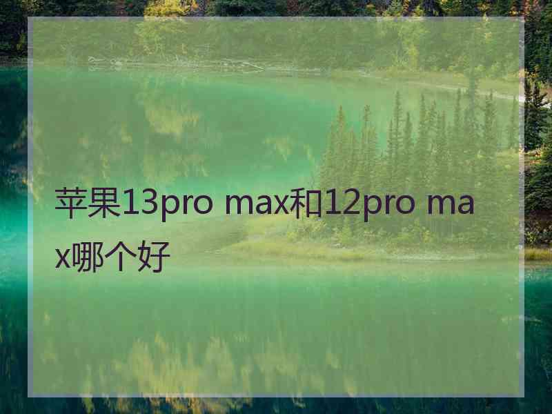 苹果13pro max和12pro max哪个好