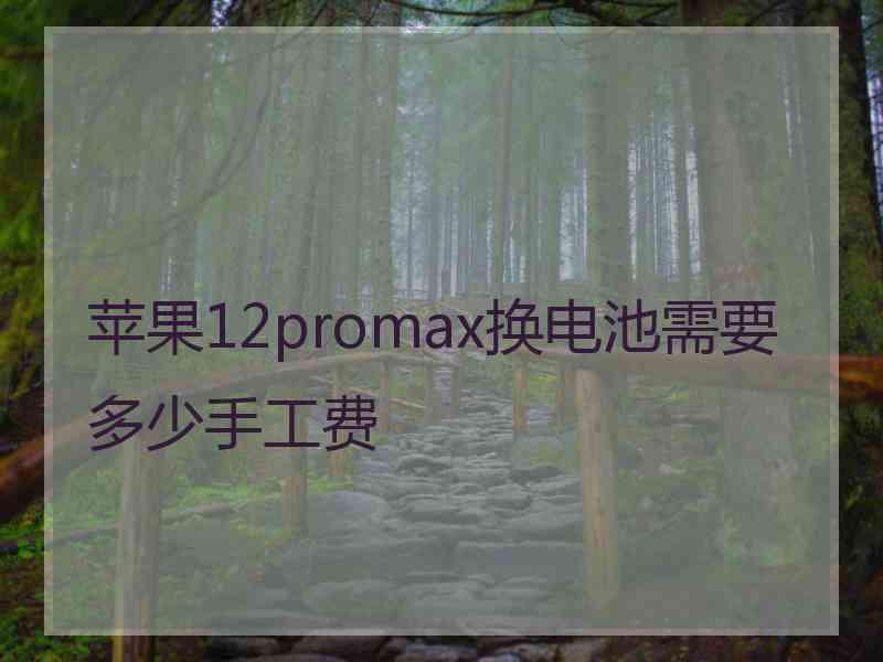 苹果12promax换电池需要多少手工费