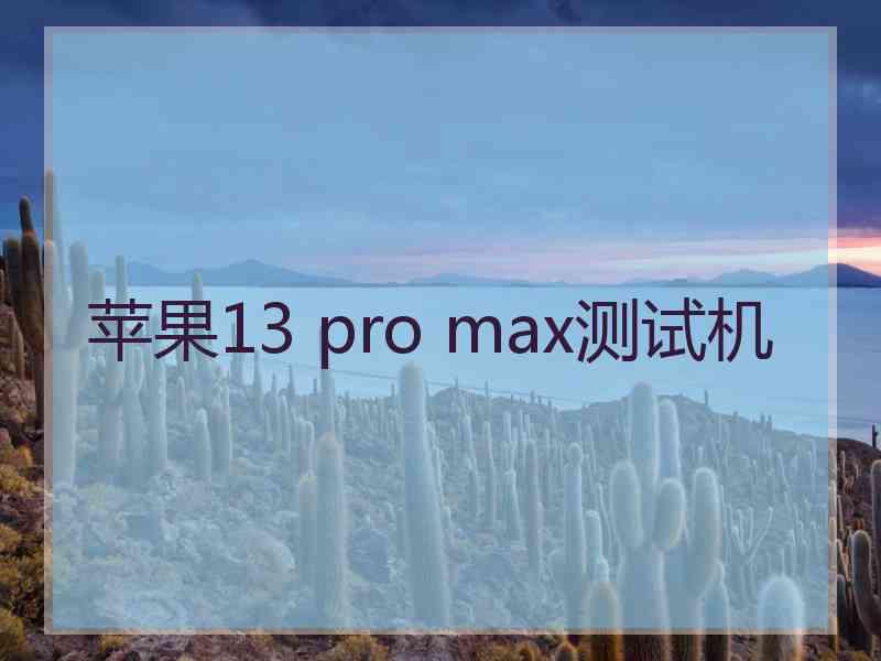 苹果13 pro max测试机