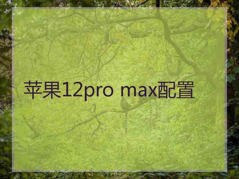 苹果12pro max配置