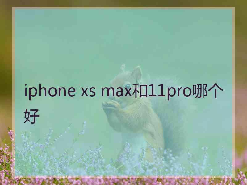 iphone xs max和11pro哪个好