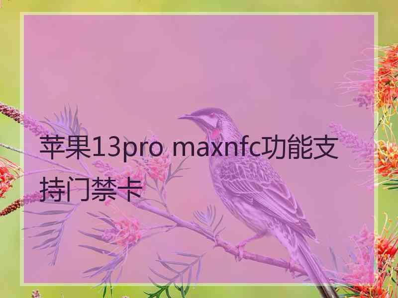 苹果13pro maxnfc功能支持门禁卡