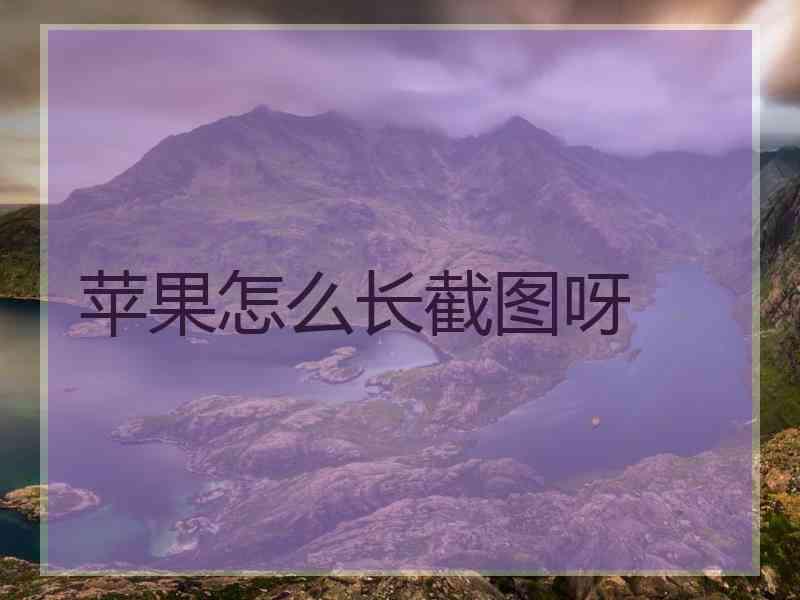 苹果怎么长截图呀