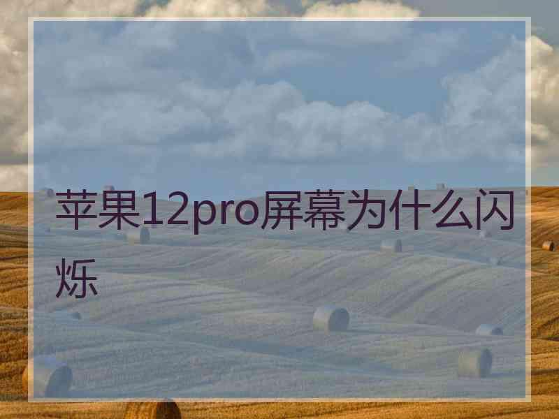 苹果12pro屏幕为什么闪烁