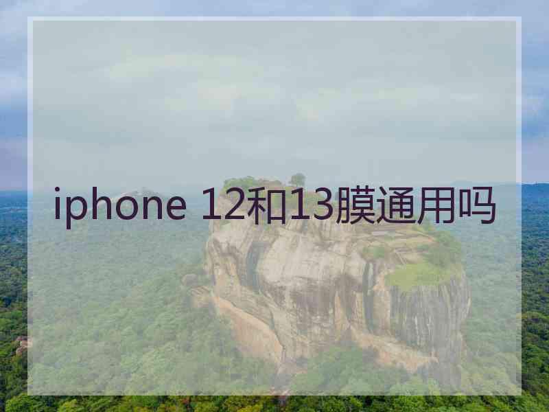 iphone 12和13膜通用吗