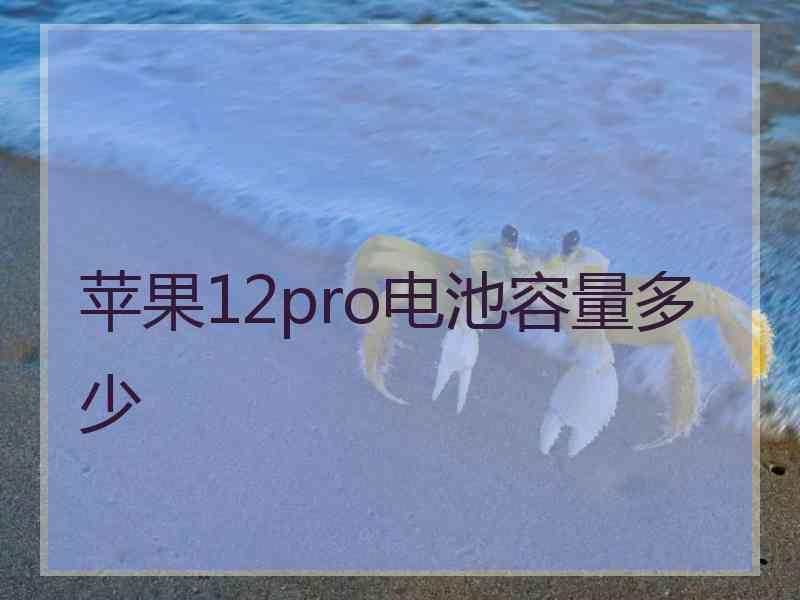 苹果12pro电池容量多少