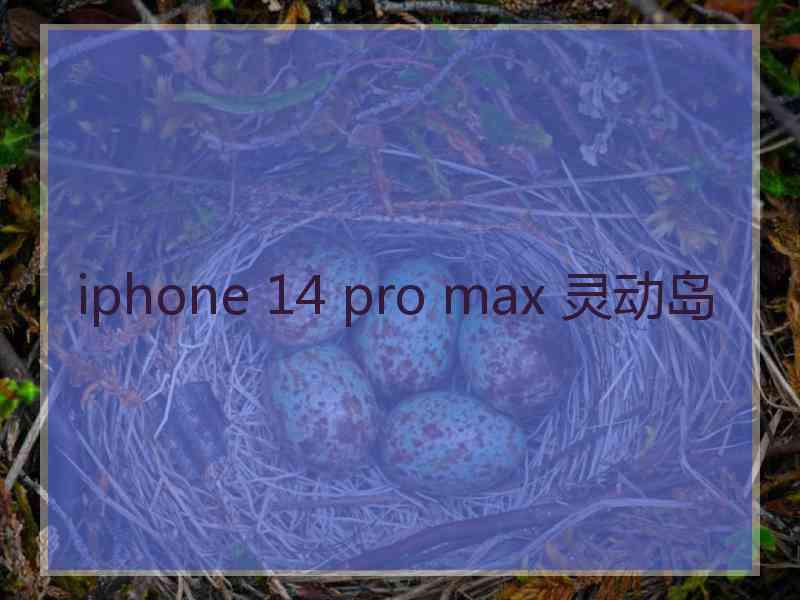 iphone 14 pro max 灵动岛