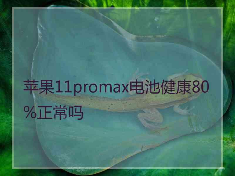 苹果11promax电池健康80%正常吗