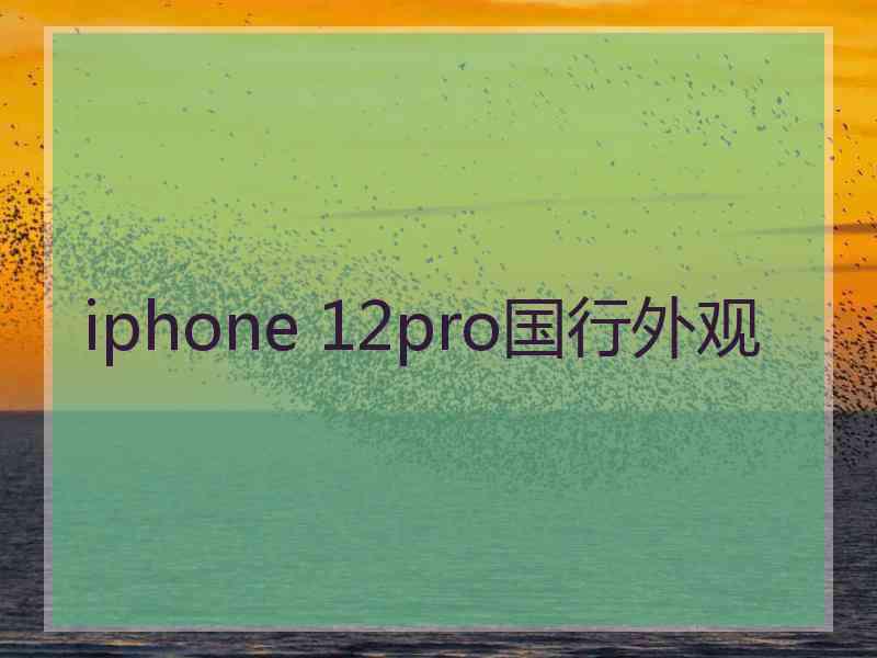 iphone 12pro国行外观