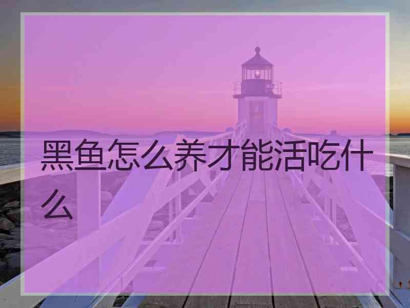 黑鱼怎么养才能活吃什么