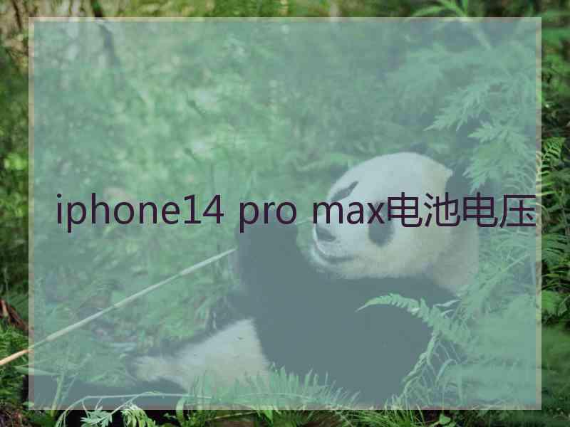 iphone14 pro max电池电压